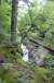 resIMG_20110701_6527.JPG